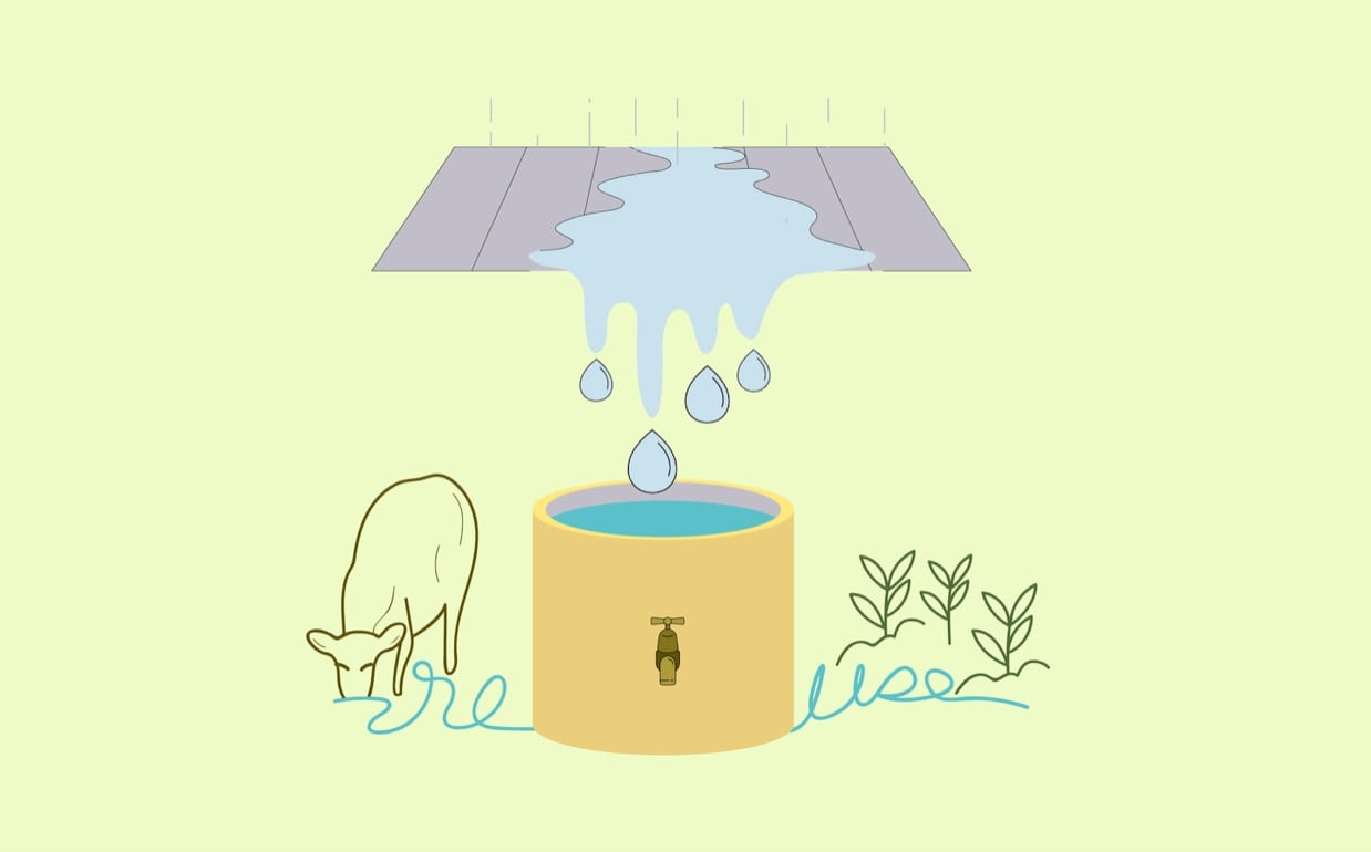Récupérateur d'eau de pluie : arroser le jardin en faisant des